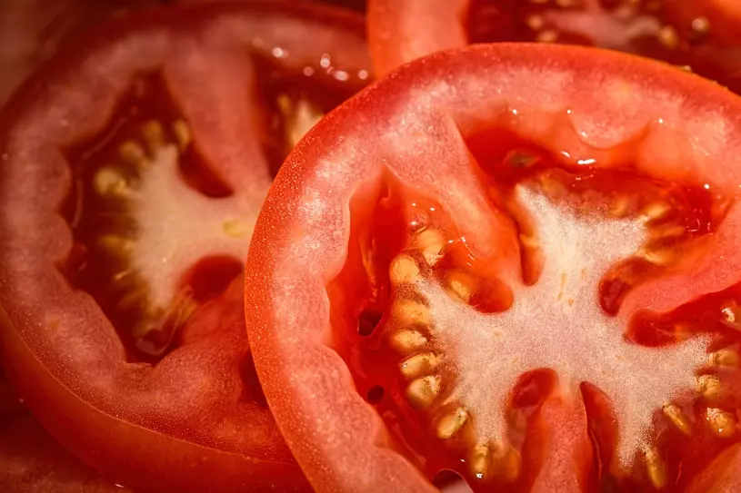 rajčata semena