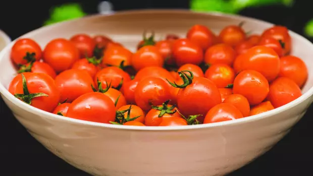 Již bylo napsáno mnoho článků, že rajčata nejsou vhodná k…