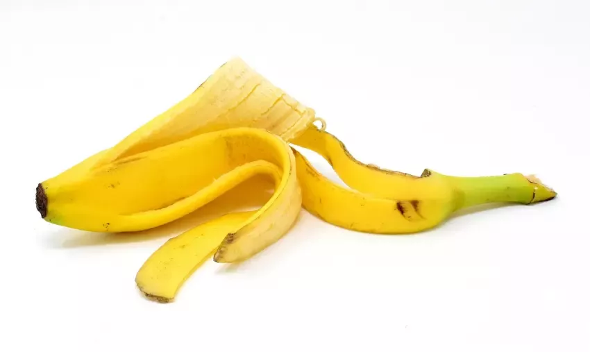 hnojivo z banánových slupek